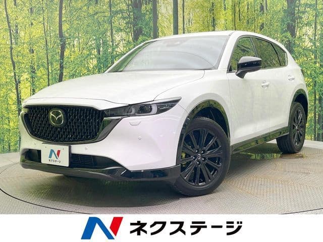 https://jema-auto-bucket.eu-central-1.linodeobjects.com/AunetImages/1785809883254-19762110_01.jpg