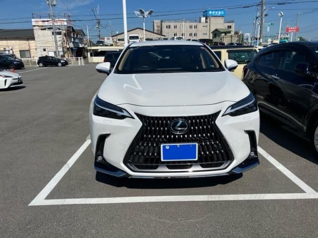 TOYOTA LEXUS NX250